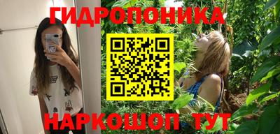 дживик Будённовск