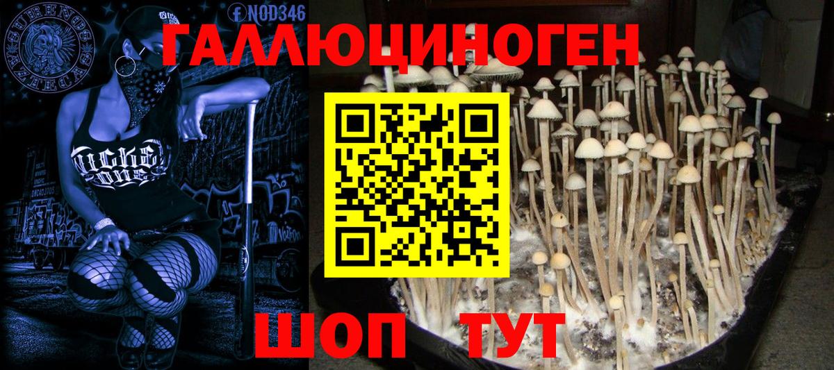 Псилоцибиновые грибы Cubensis  Вход с VPN  Сыктывкар 