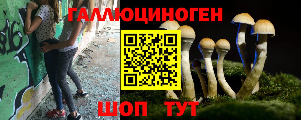 Галлюциногенные грибы прущие грибы Сыктывкар